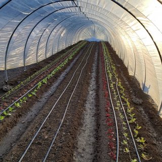 Highgate Farm