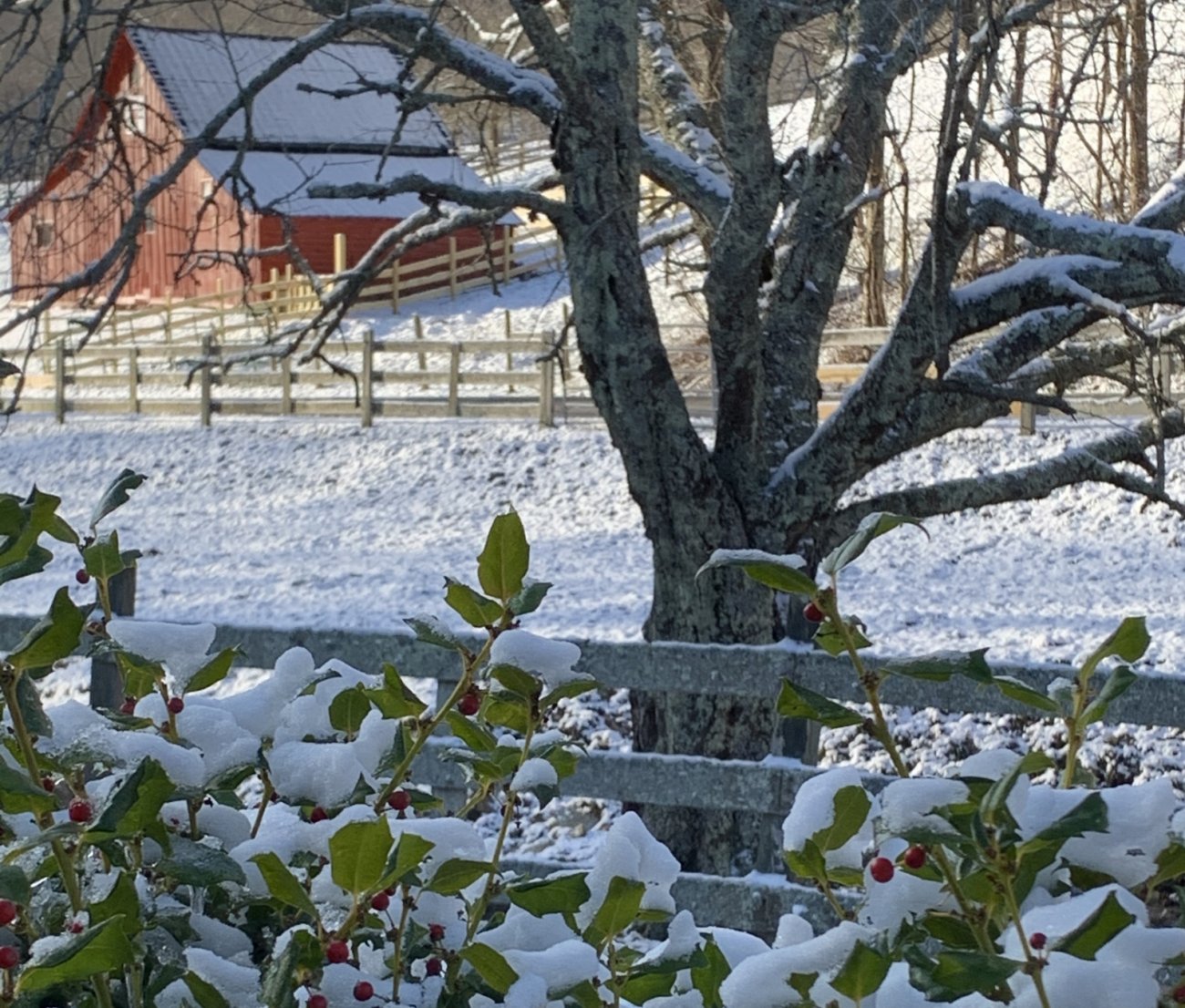 snow at North Fork Farm