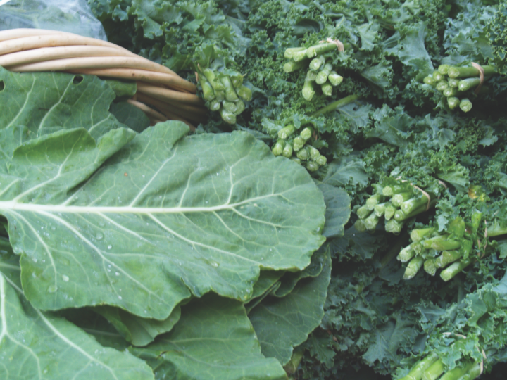collards and kale