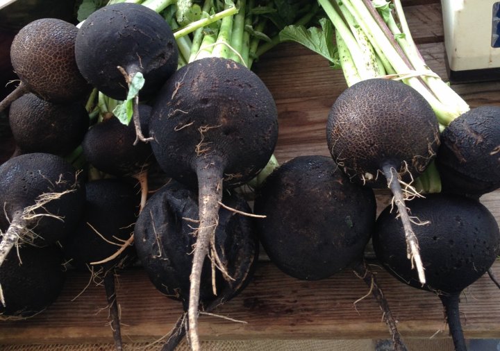 https://fromhere.org/fresh-at-farmers-markets/fresh-at-farmers-markets-this-week-391/