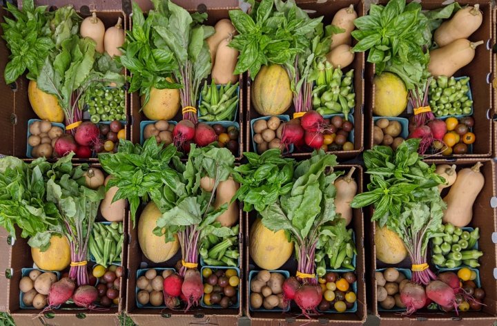 CSA boxes from Mighty Gnome Market Garden