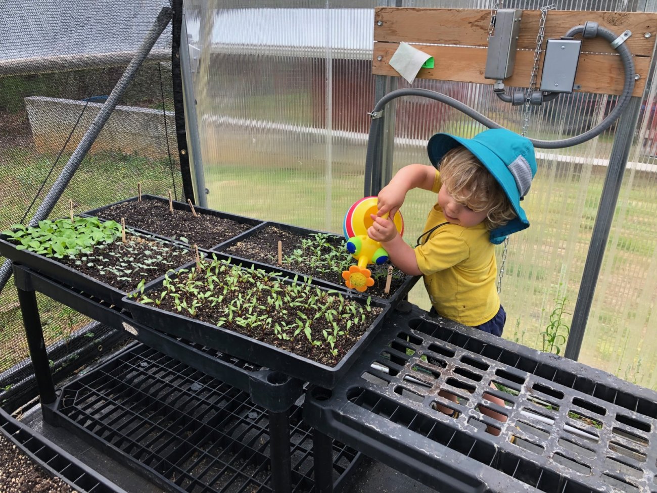 child watering at Red Scout Farm