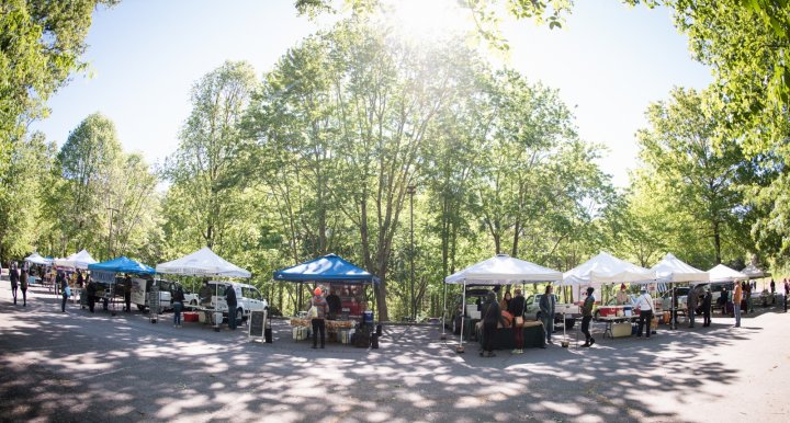 North Asheville Tailgate Market, photo by Camilla Calnan