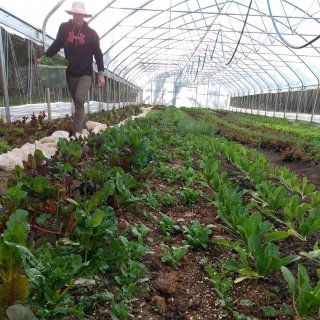 Nathan Vannette of Growing Green Family Farm