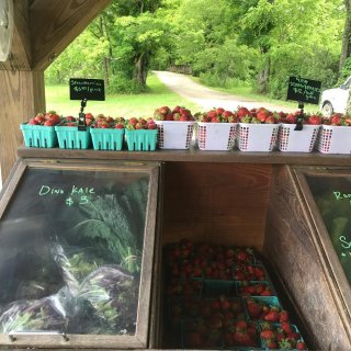 The farm stand at Flying Cloud Farm