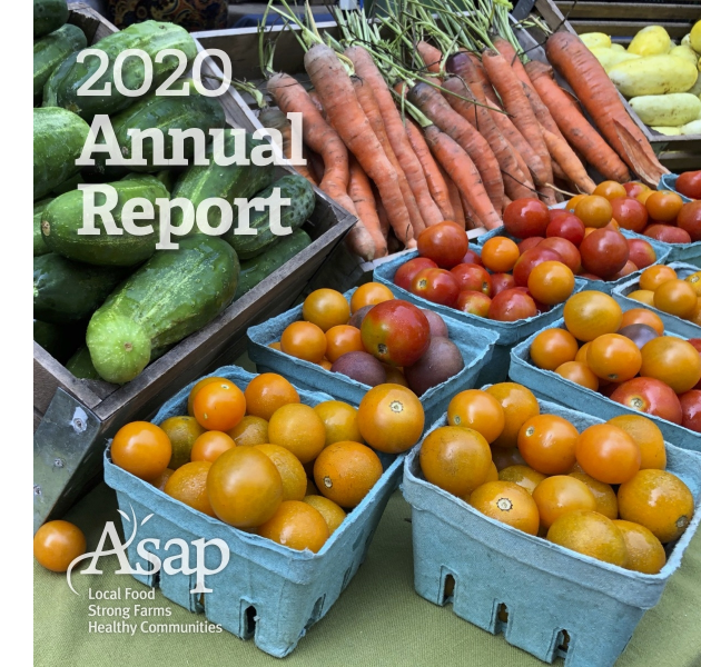 2020 Annual Report
