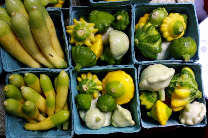 summer squash from Full Sun Farm