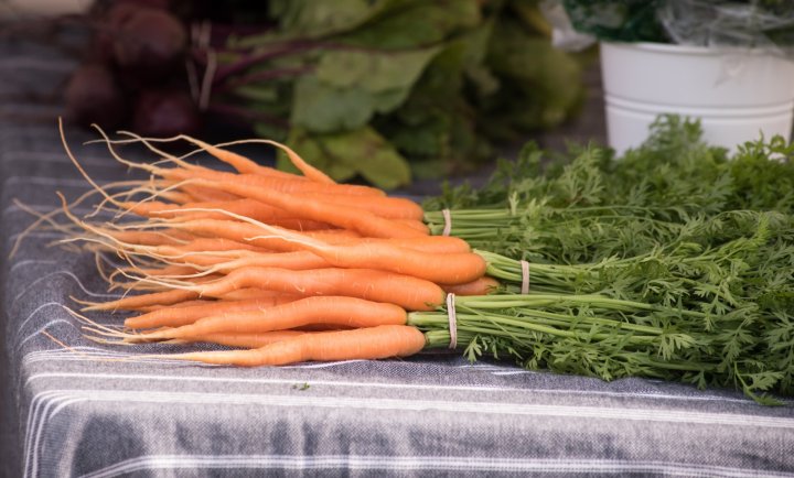 carrots, photo by Camilla Calnan