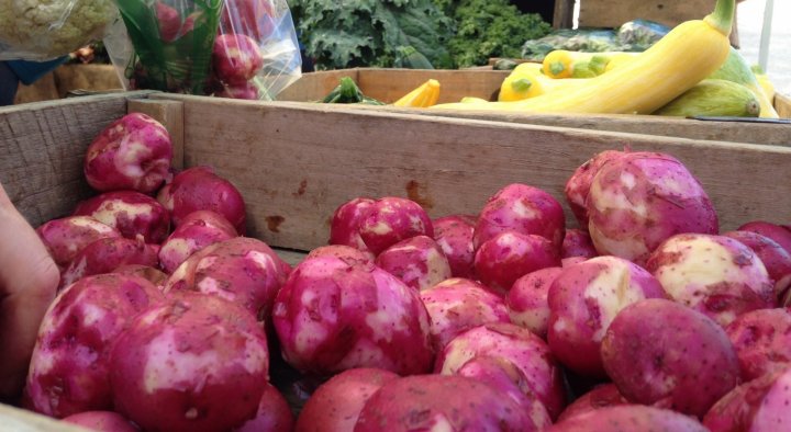 new potatoes and summer squash