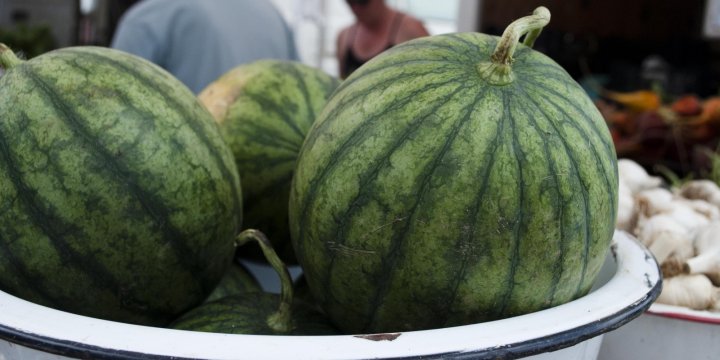 watermelons
