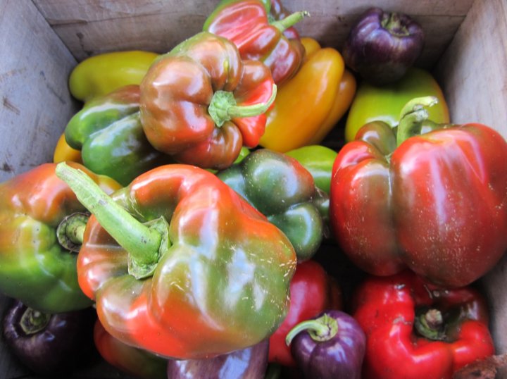 bell peppers