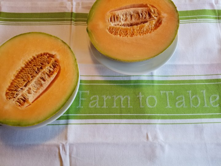 cantaloupes, photo by Glenda Ploeger of Cane Creek Asparagus & Co. CSA