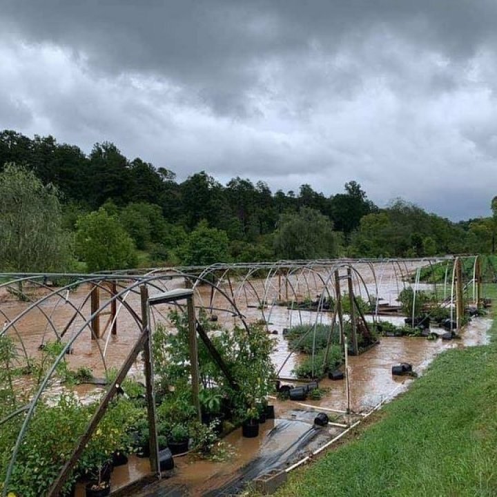 Flooding from Tropical Storm Fred at Smoking J's Fiery Foods and Farm 
