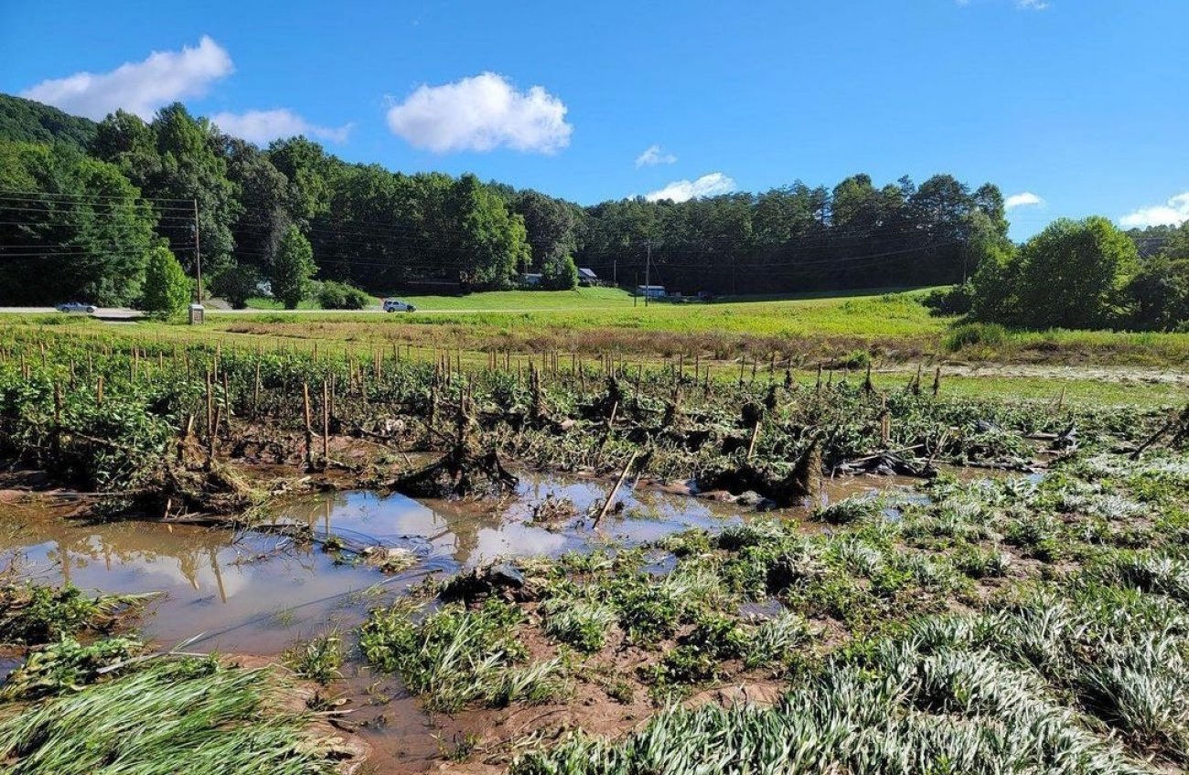 Flooding from Tropical Storm Fred at Smoking J's Fiery Foods and Farm 