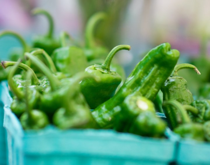 shishito peppers
