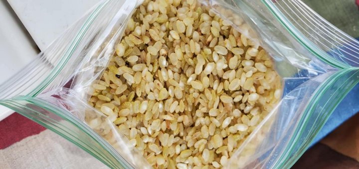 local rice