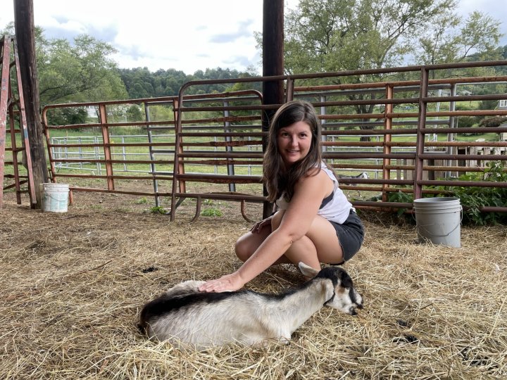 Petting a goat at Mount Gilead Farm on ASAP's Farm Tour