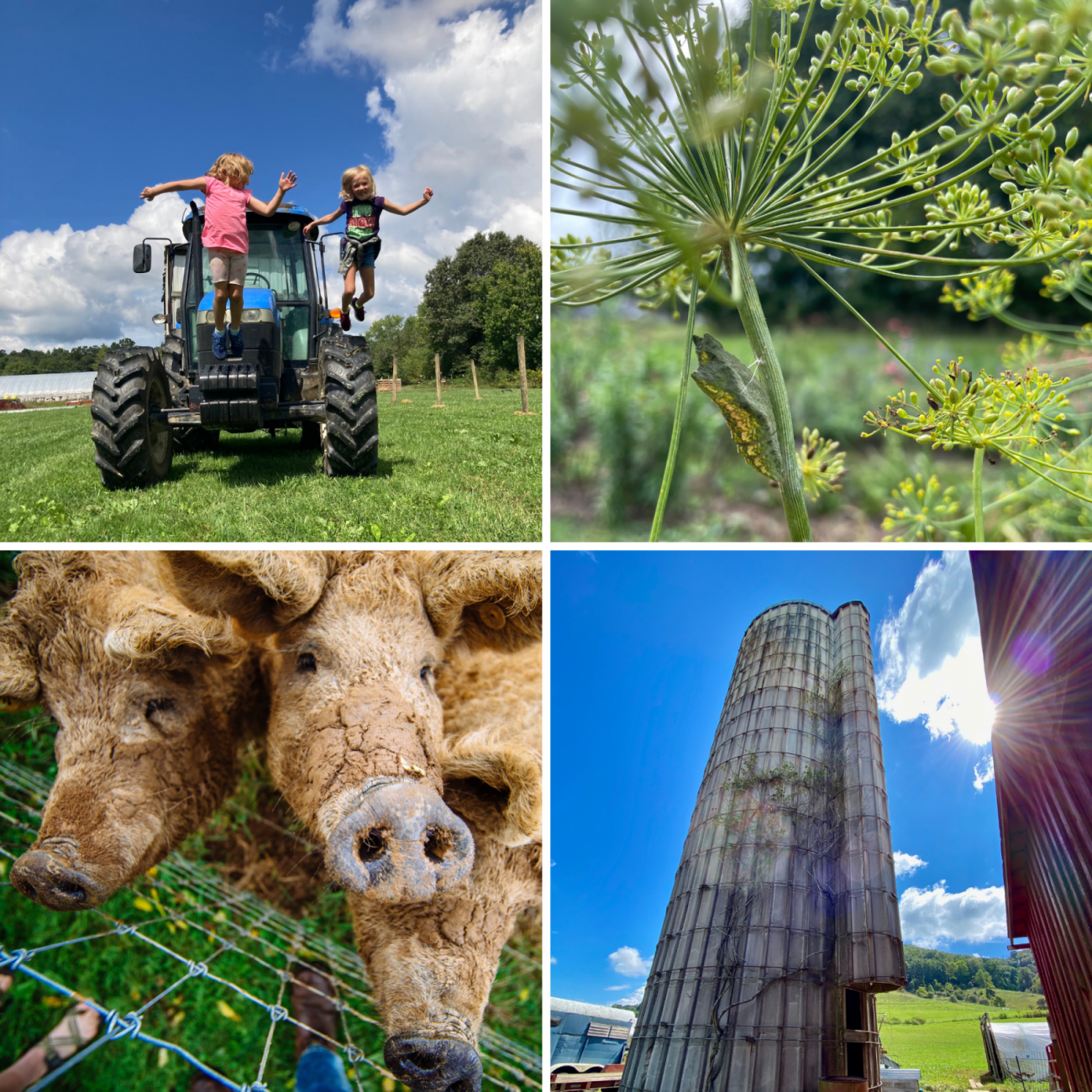 photo contest winners