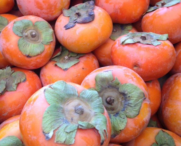 persimmons from Lee's One Fortune Farm