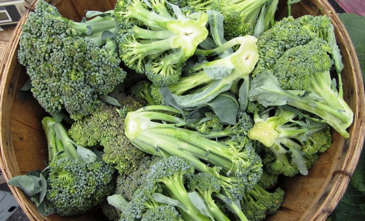 broccoli
