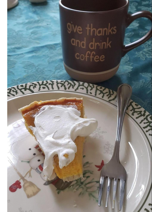 piece of pumpkin pie with whipped cream