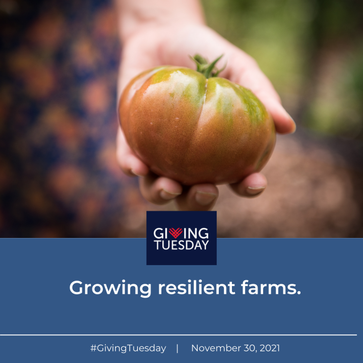 Growing resilient farms. Be a part by donating this Giving Tuesday, Nov. 30.