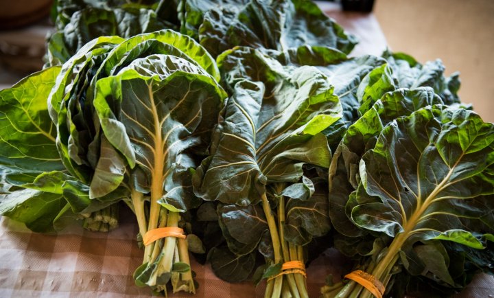 chard from Highgate Farm