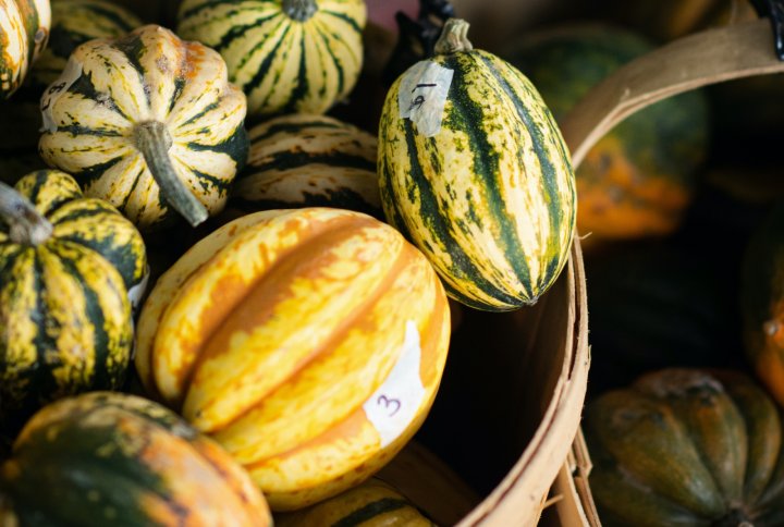 winter squash