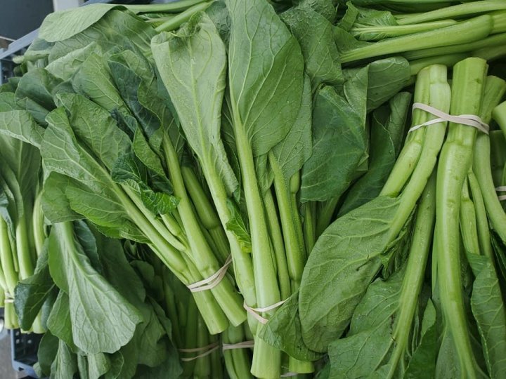 gai lan from Lee's One Fortune Farm