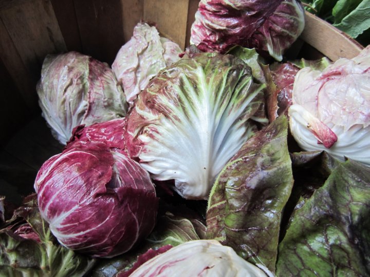 radicchio