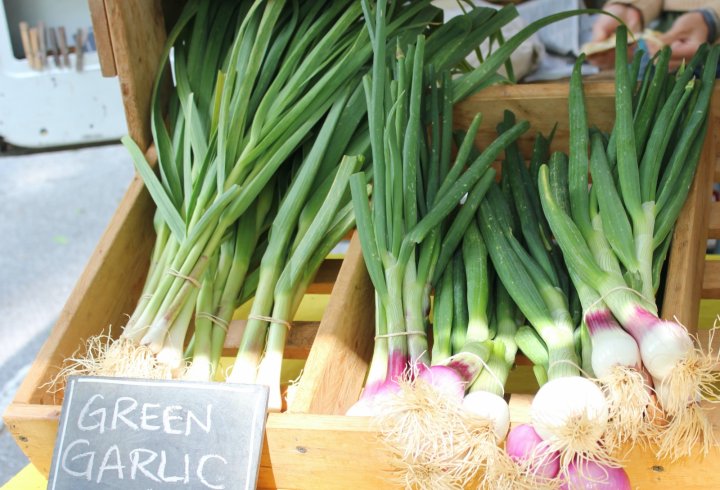 green garlic