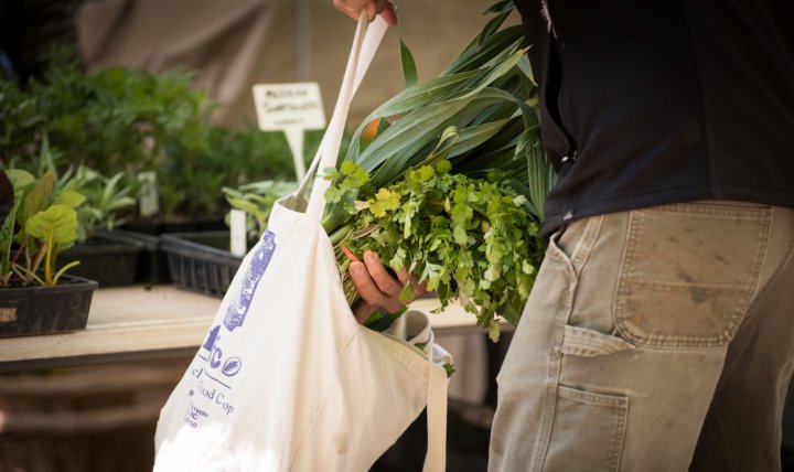 market bag of herbs and greens