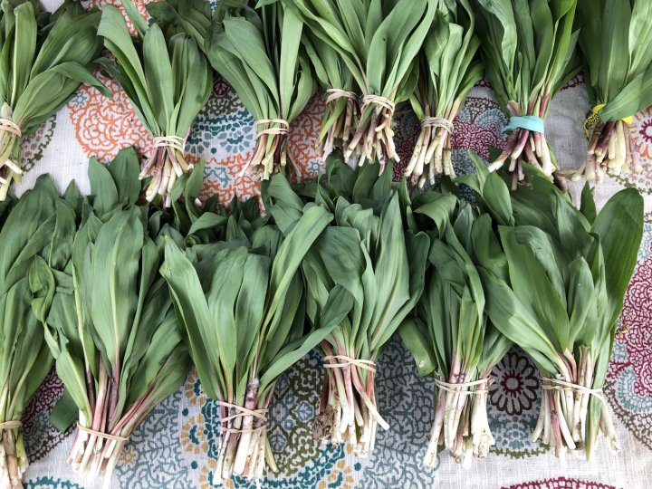 sustainably harvested ramps from Wild Goods
