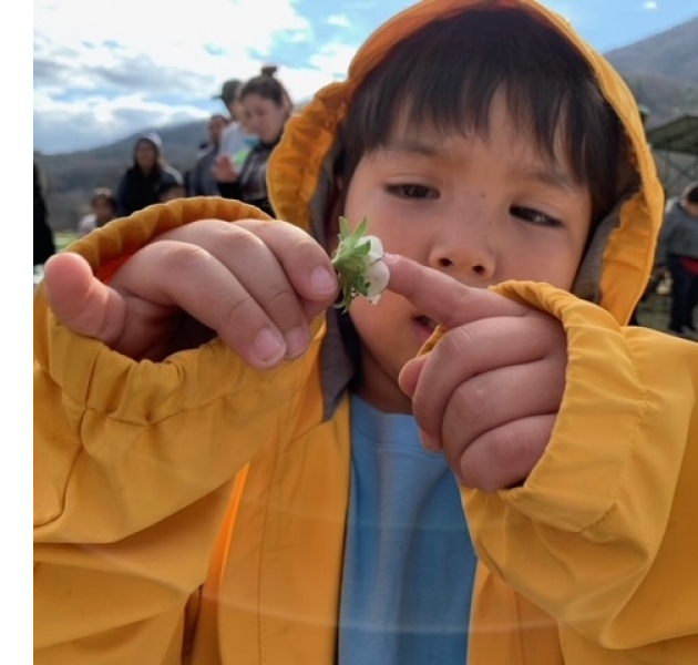 A preschool student from Cherokee Elementary visits Darnell Farms