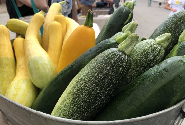 summer squash