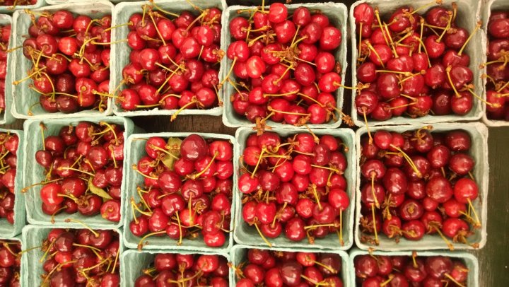 cherries