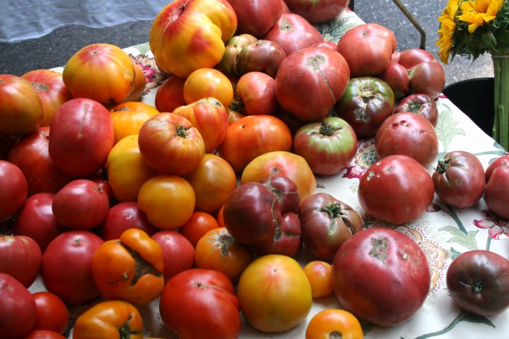 tomatoes