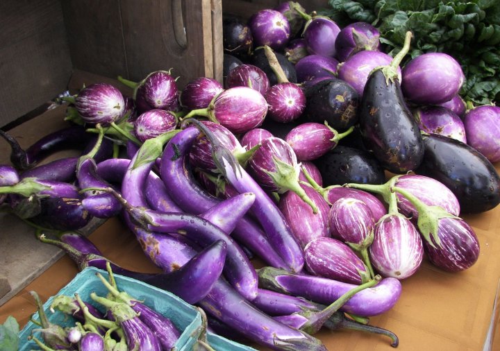 eggplant