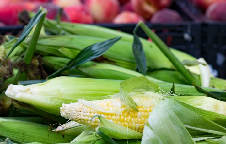 corn