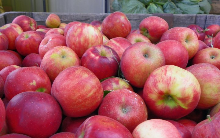 apples