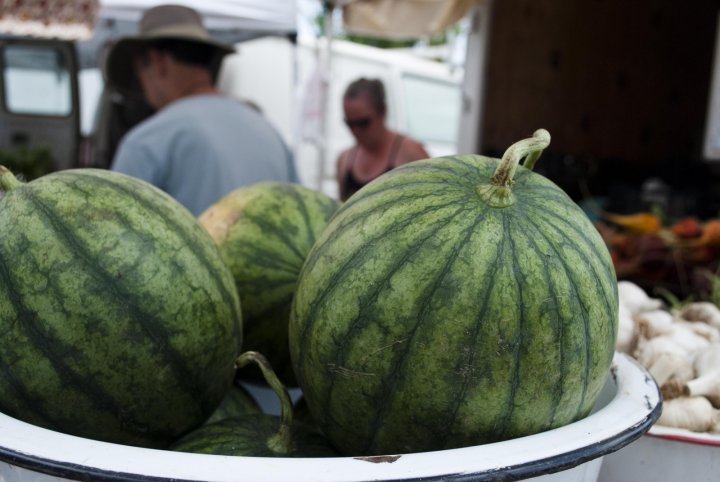 watermelons