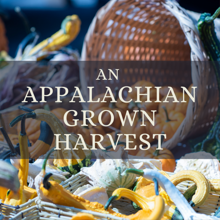 An Appalachian Grown Harvest on Nov. 11