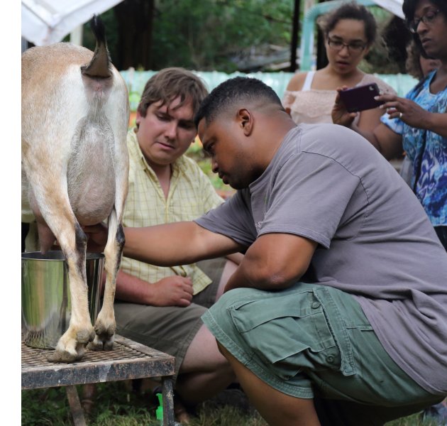 Spinning Spider Creamery on ASAP's 2016 Farm Tour
