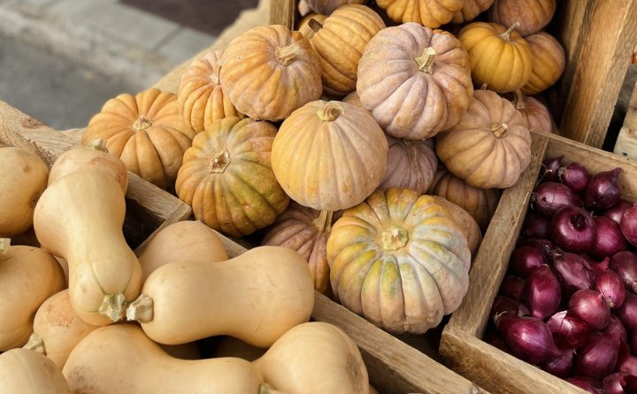 pumpkins