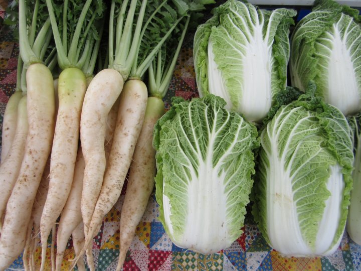daikon radish and napa cabbage