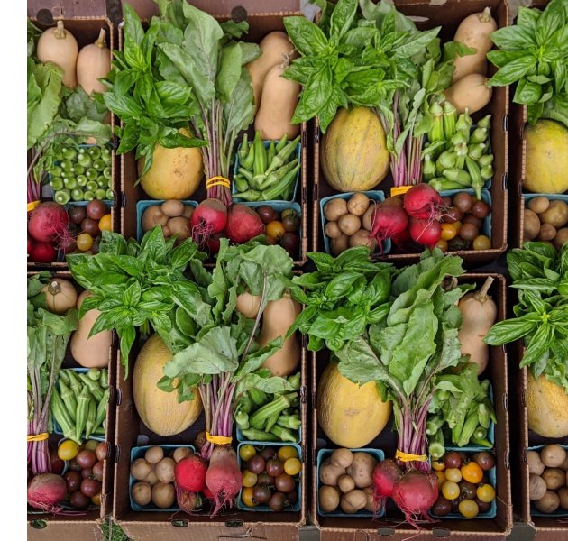 Mighty Gnome Market Garden CSA shares