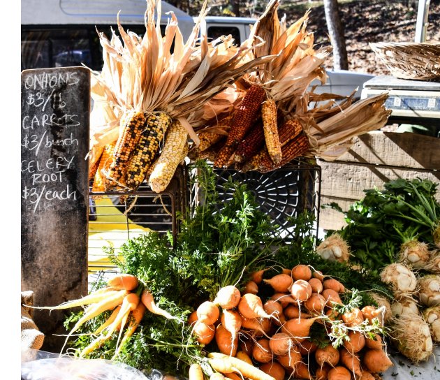 carrots and celery root at the farmers market