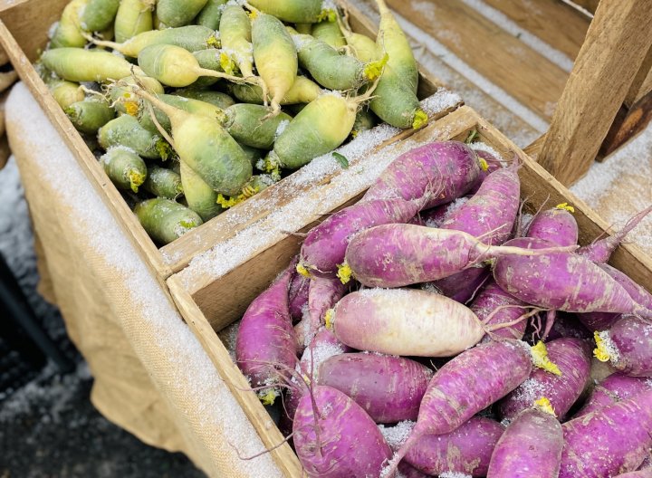 daikon radishes at farmers markets