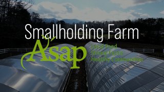 Meet Your Farming: Smallholding Farm