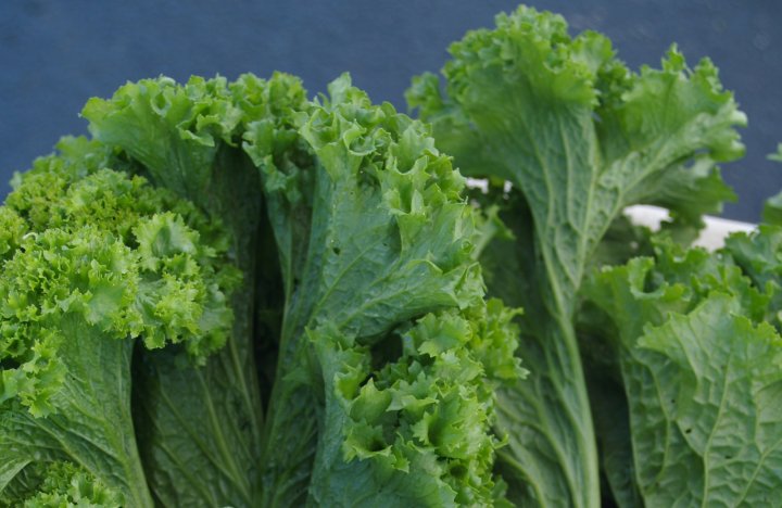 mustard greens